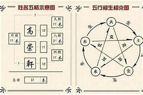 张字五行|张字的五行属性